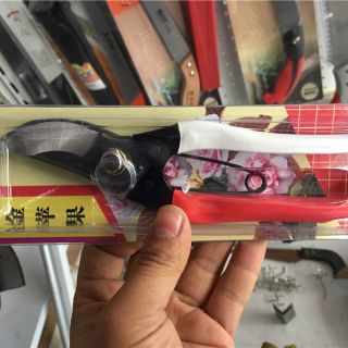 金蘋果手剪 ，整枝剪