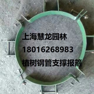 大樹報(bào)箍，植樹支撐報(bào)箍，鋼支撐報(bào)箍