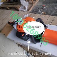 上海浦東，綠化割草，修剪旺季，注意綠籬機，草坪機，割灌機 日常保養(yǎng)